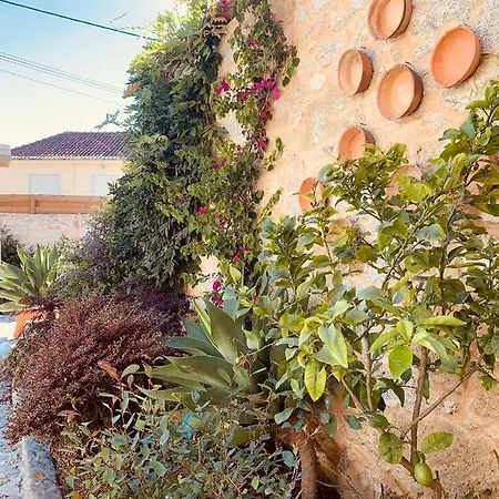 Homestay Casa Do Leiteiro